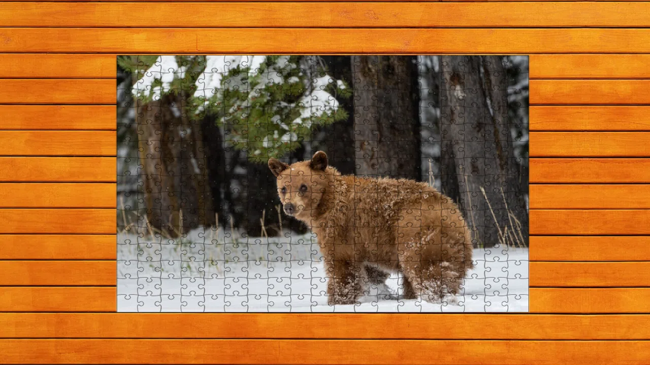 Bear vs. Wolf Jigsaw Puzzle - Expansion Pack 5 Screenshot 0