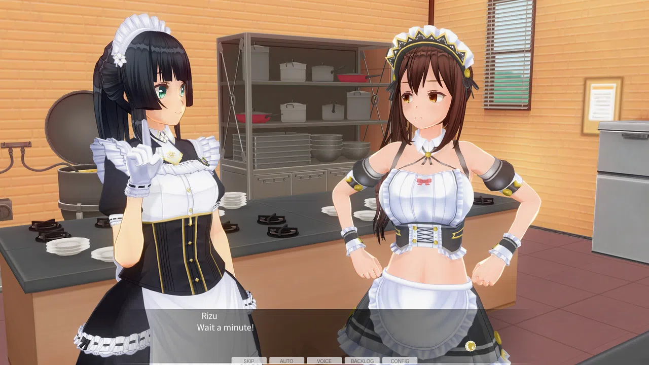 CUSTOM ORDER MAID 3D2 Friendly and Slightly Naughty Woman GP-02 Screenshot 0