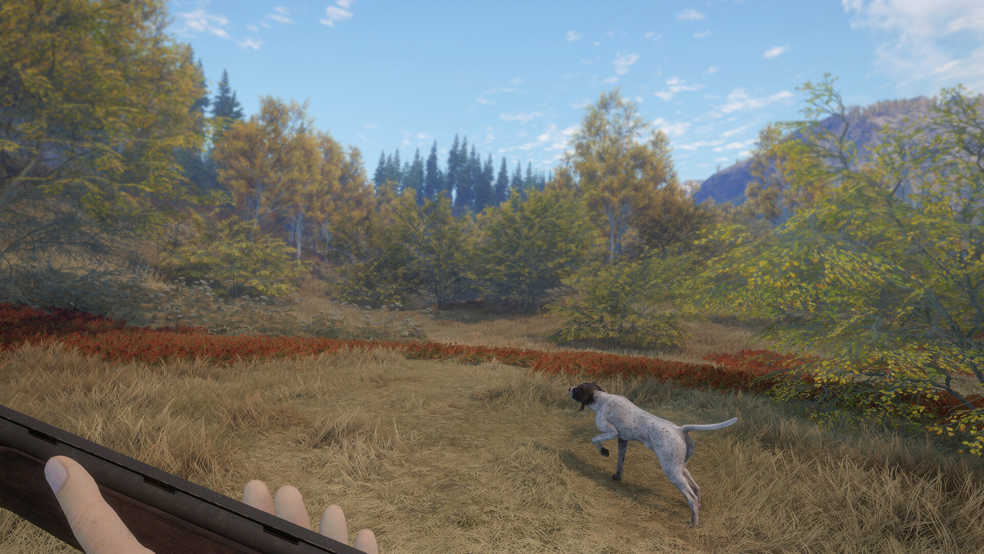 theHunter: Call of the Wild™ - German Shorthaired Pointer Screenshot 5