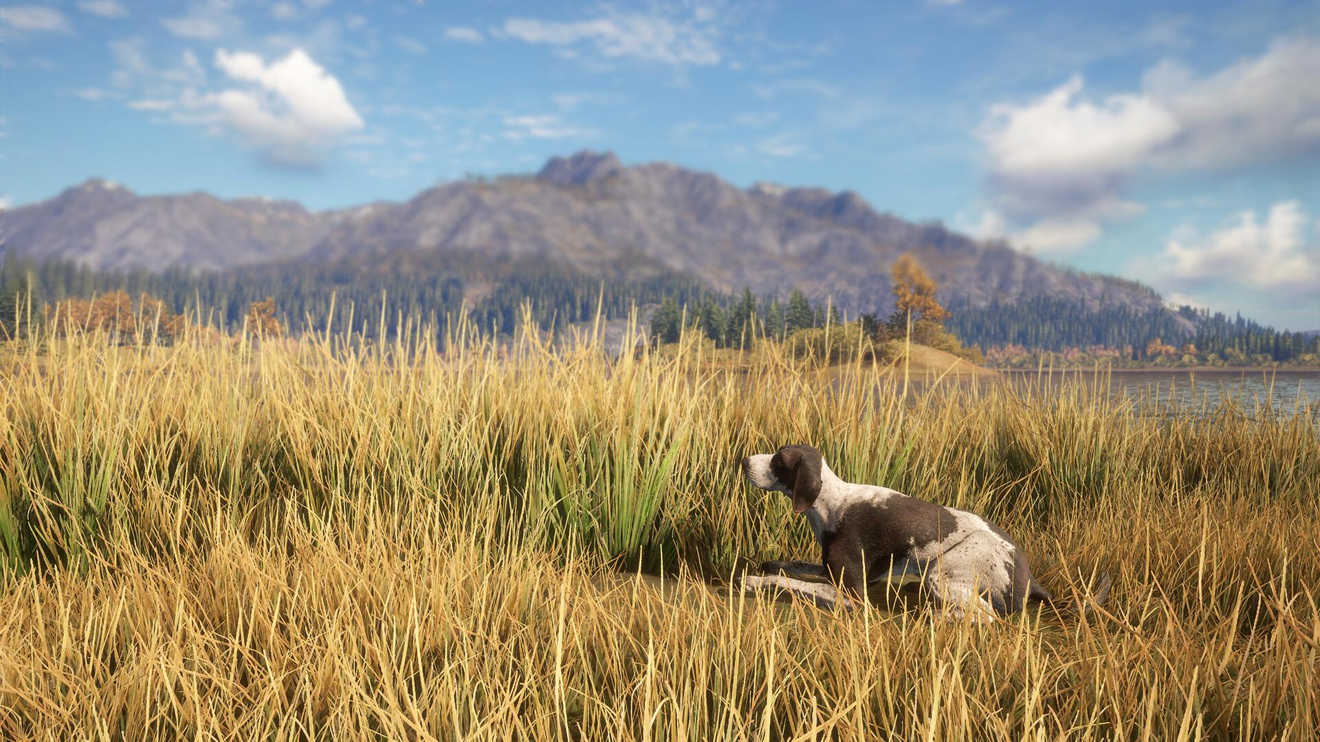 theHunter: Call of the Wild™ - German Shorthaired Pointer Screenshot 4