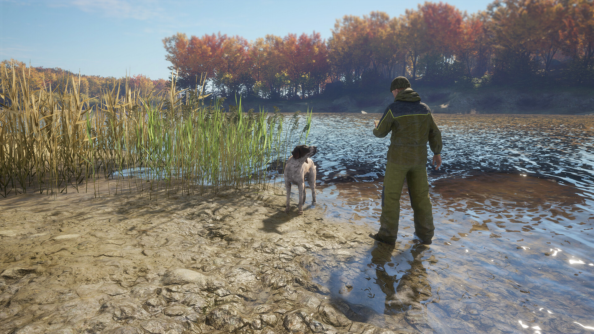 theHunter: Call of the Wild™ - German Shorthaired Pointer Screenshot 6
