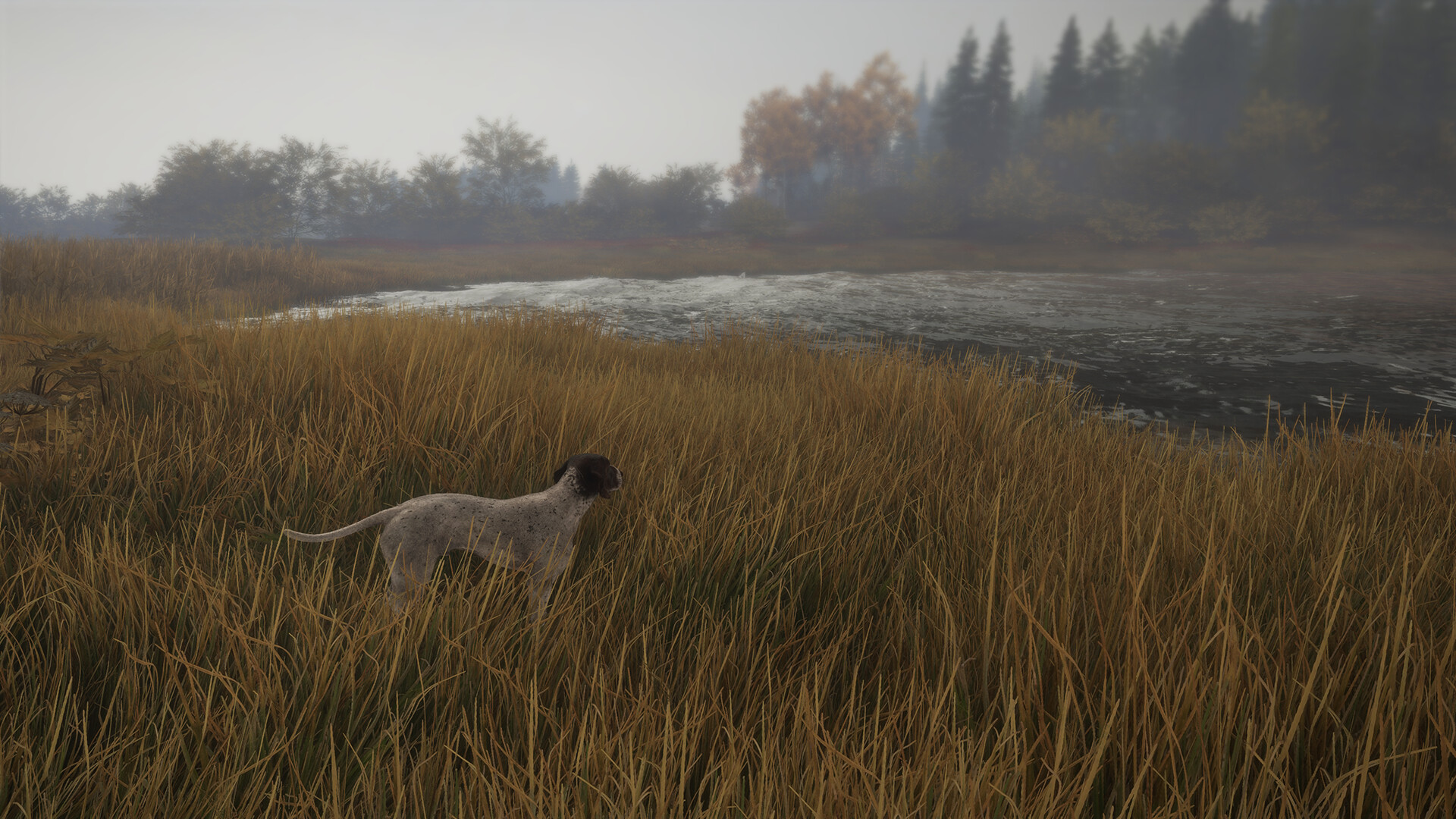 theHunter: Call of the Wild™ - German Shorthaired Pointer Screenshot 2