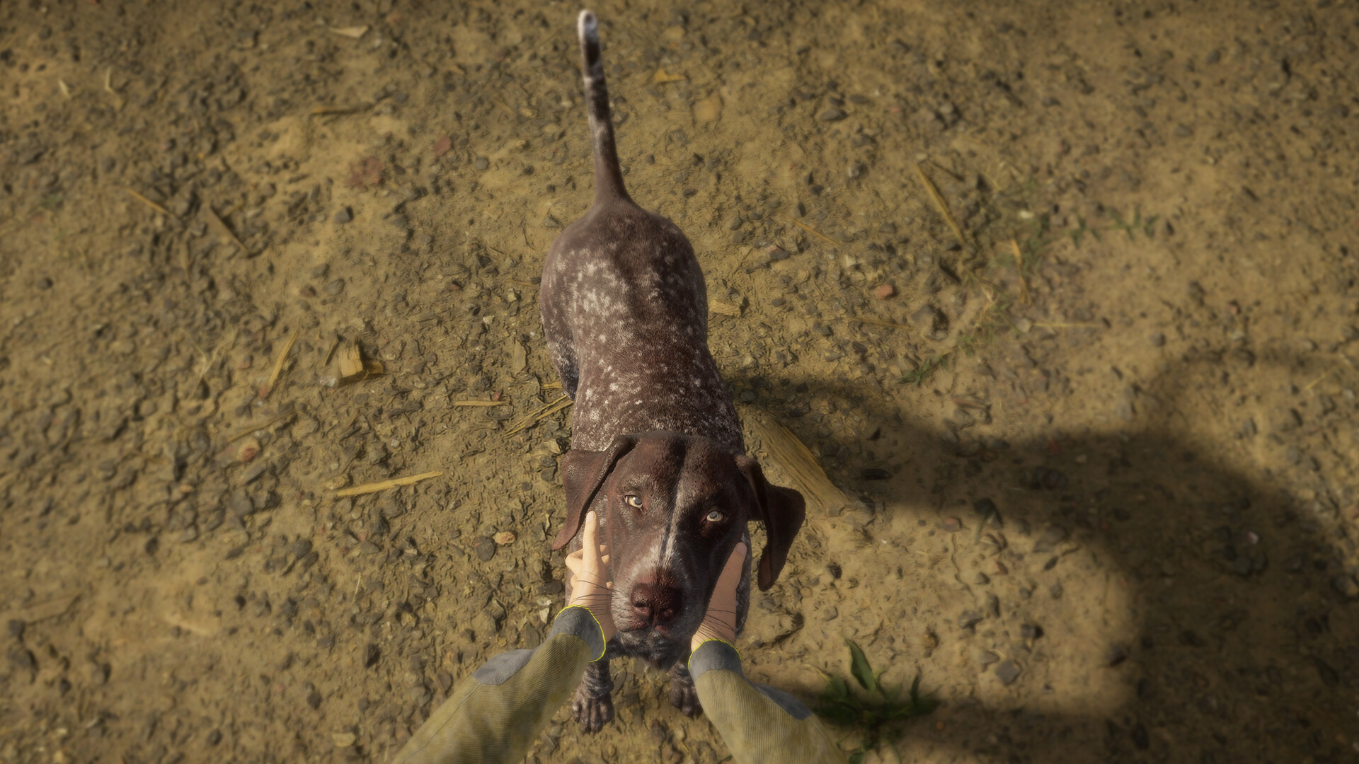 theHunter: Call of the Wild™ - German Shorthaired Pointer Screenshot 0