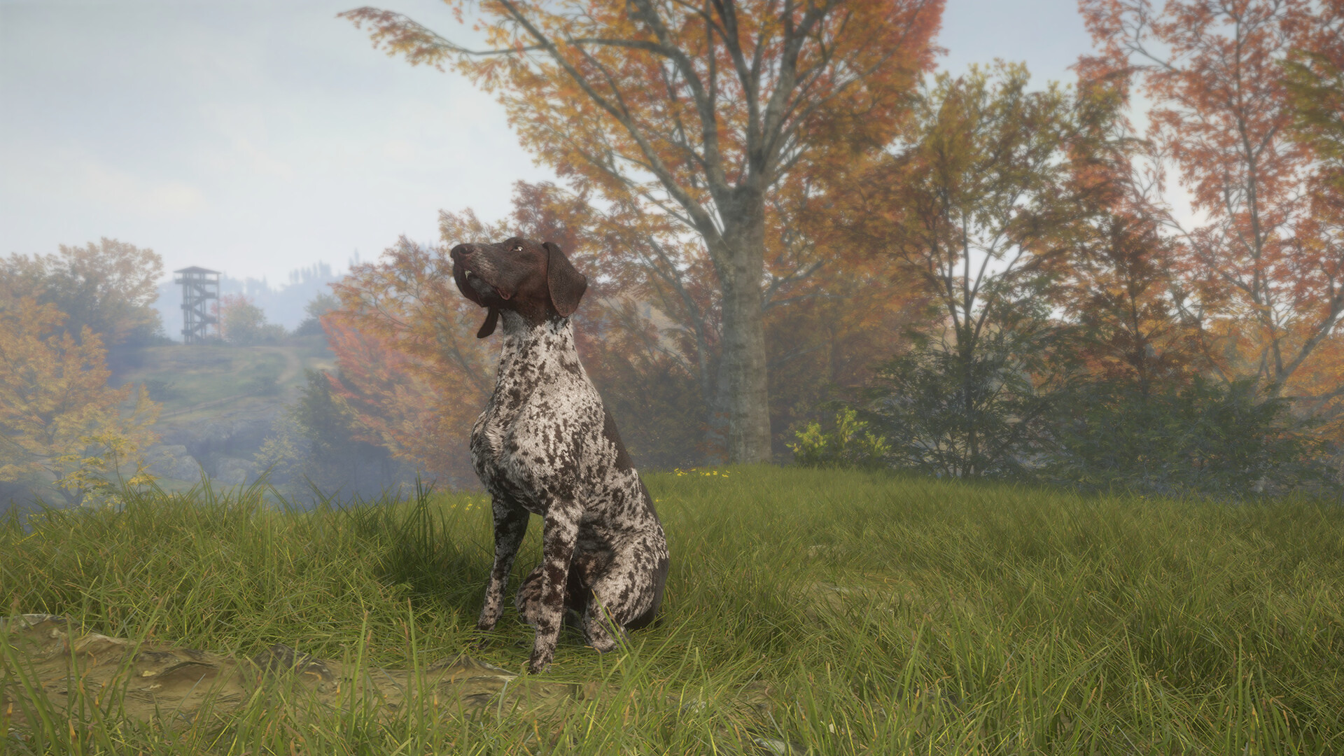 theHunter: Call of the Wild™ - German Shorthaired Pointer Screenshot 1