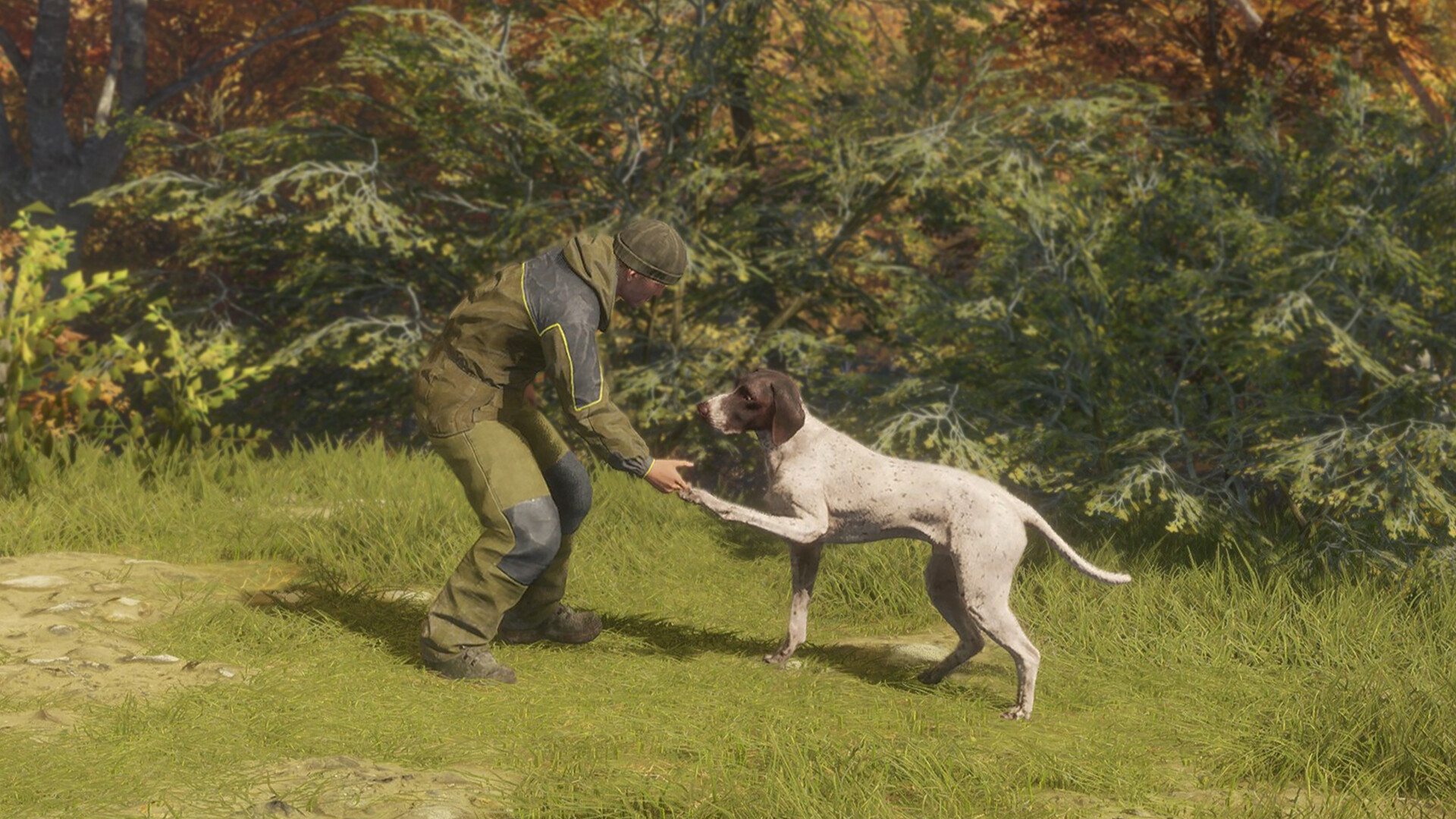 theHunter: Call of the Wild™ - German Shorthaired Pointer Screenshot 3