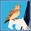 飞鸟 icon