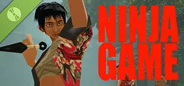 Ninja Game Demo