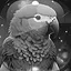 Level 7 icon