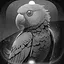 Level 43 icon