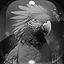 Level 50 icon
