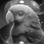 Level 17 icon