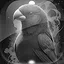 Level 31 icon
