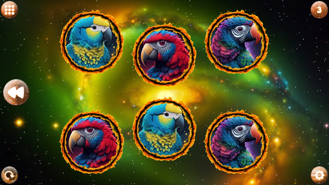 Space Memory: Parrots Screenshot 1