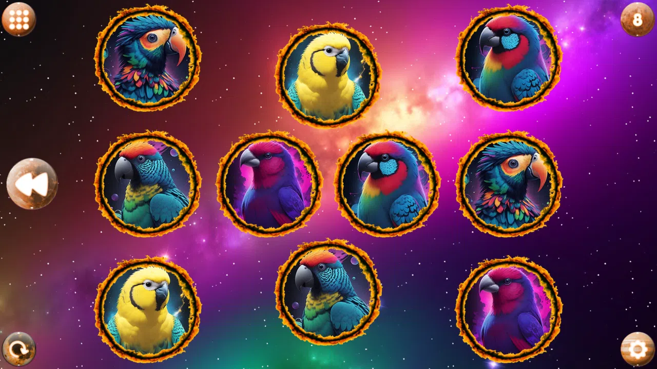 Space Memory: Parrots Screenshot 3