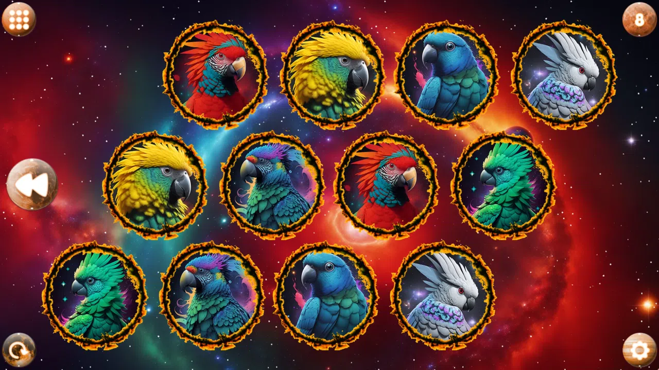 Space Memory: Parrots Screenshot 4