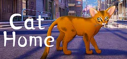 Cat Home