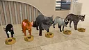 Cat Home Screenshot 0