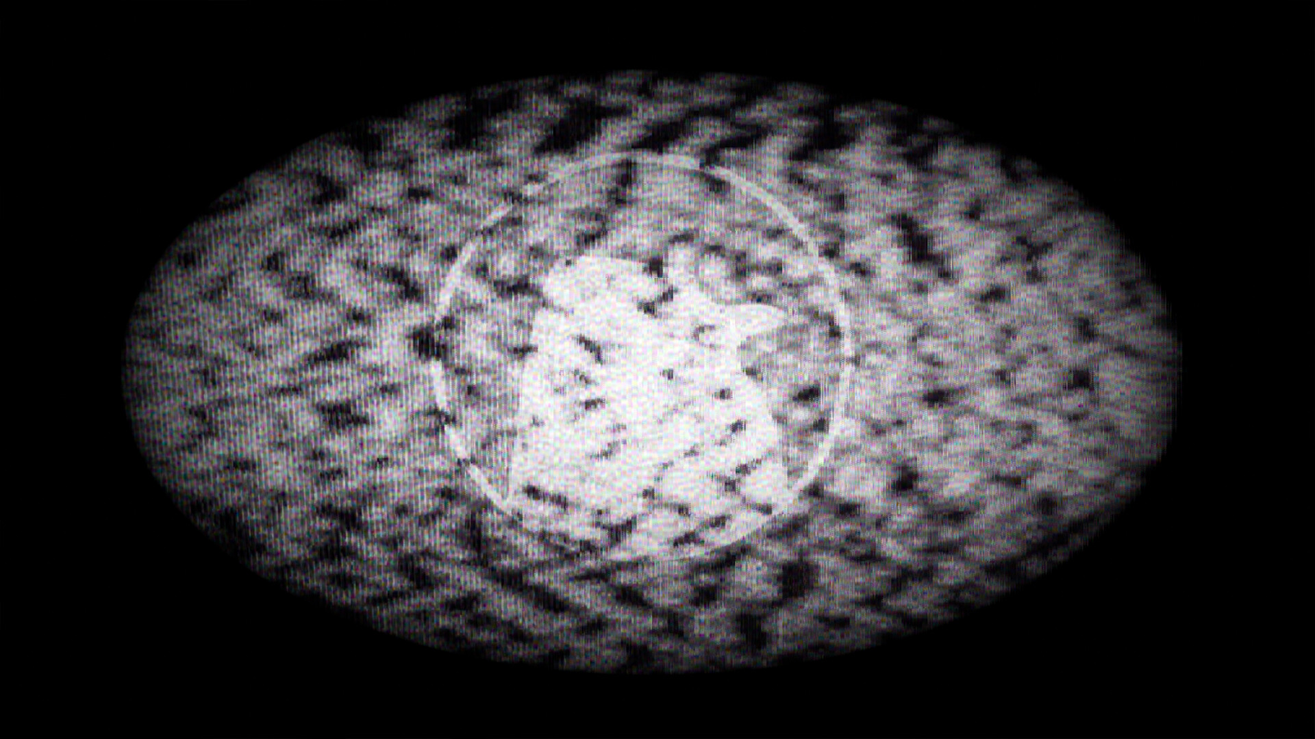 Los Penguinos Screenshot 8