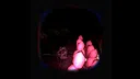 Cryptid Engine Demo Screenshot 11