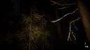 Lost : Taboo Forest Screenshot 9