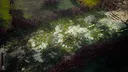 AS:RA Ashen Skies: Radiant Arena Screenshot 1