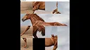 hgmGame-horse Screenshot 1