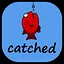 Be catched by fisherman icon