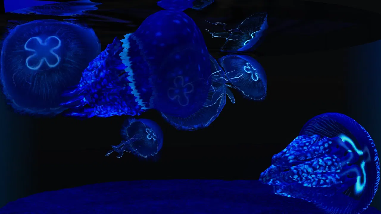 Behind Glass: Aquarium Simulator - Round Tank and Jellyfish Pack Screenshot 1
