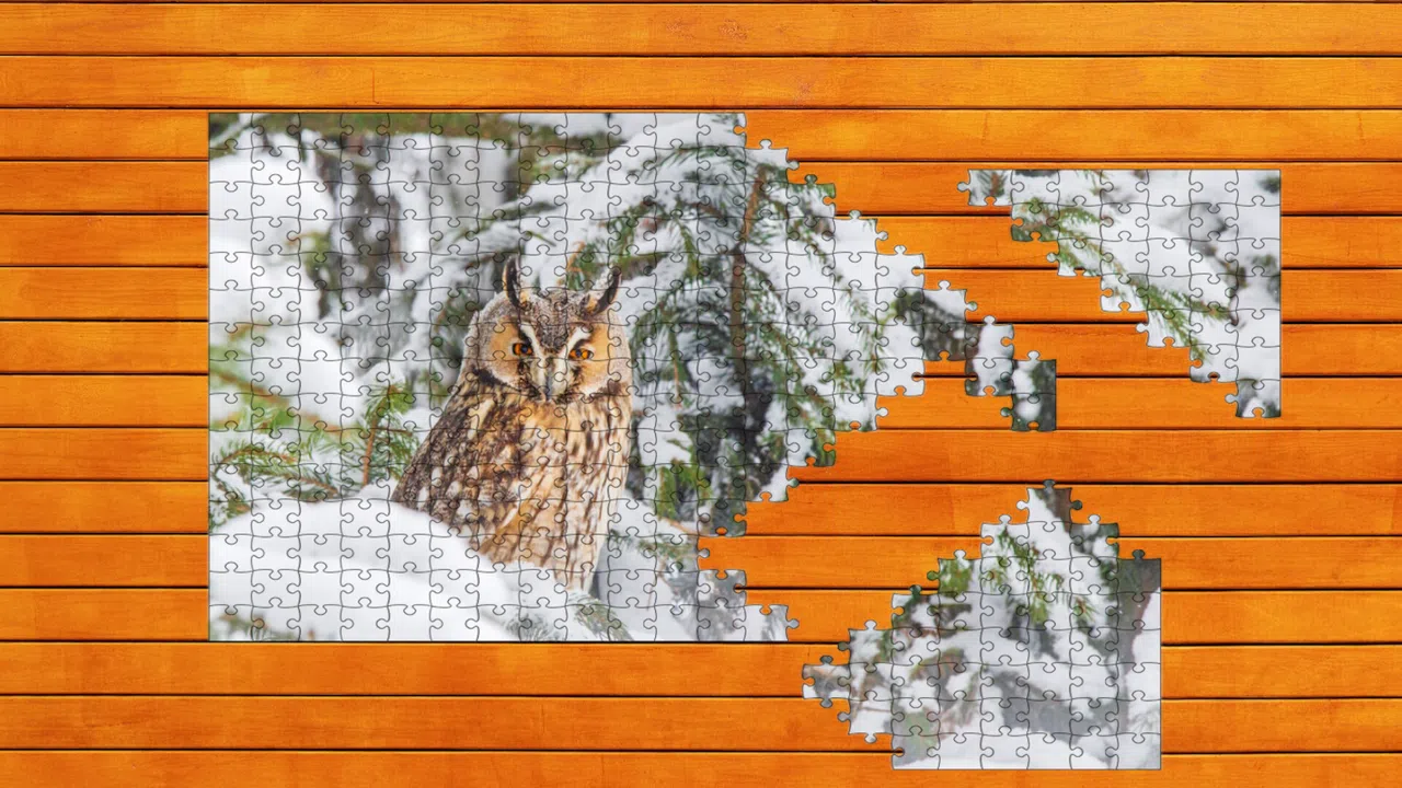 Whispers of Wings Jigsaw Puzzles Screenshot 4