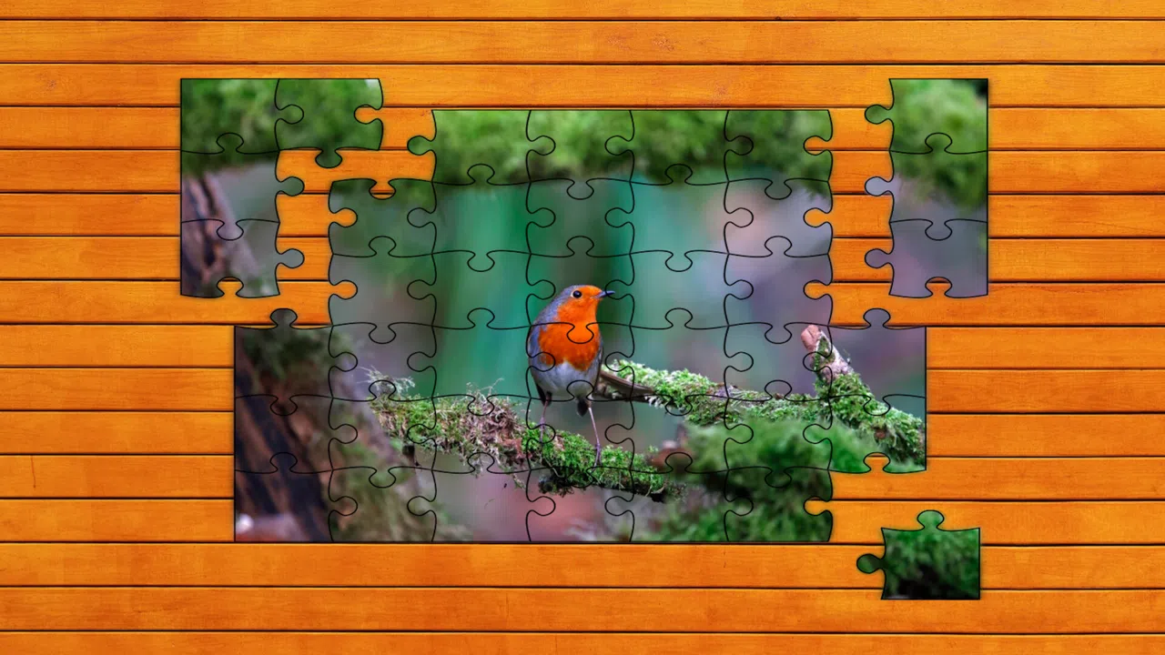 Whispers of Wings Jigsaw Puzzles Screenshot 5