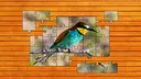 Whispers of Wings Jigsaw Puzzles Screenshot 2