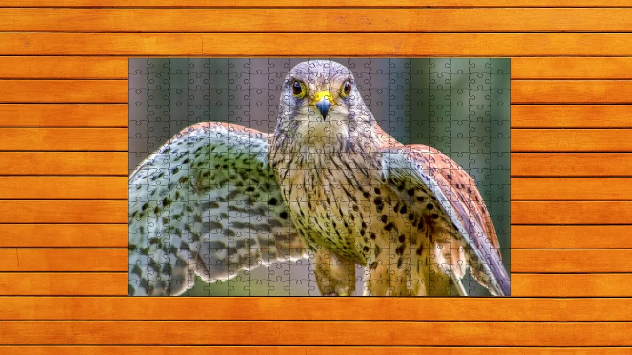 Whispers of Wings Jigsaw Puzzles Screenshot 3