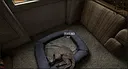 Beyond Faded Voices Screenshot 2