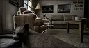 Beyond Faded Voices Screenshot 1