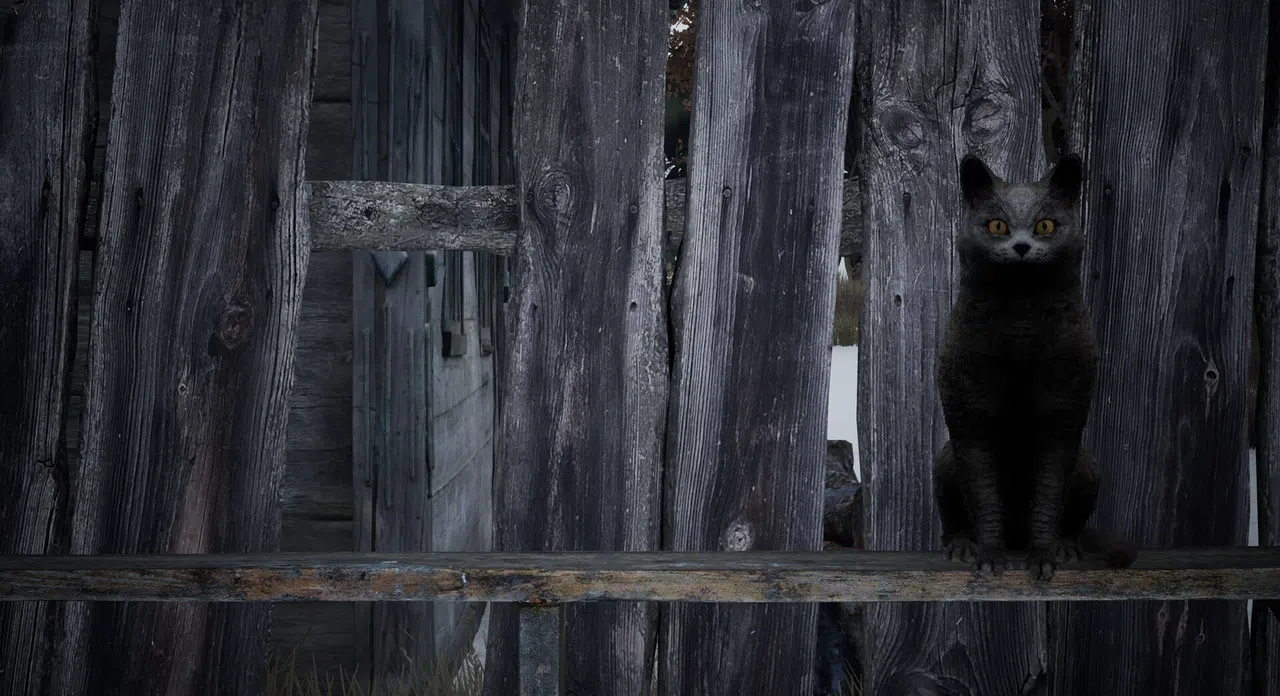 Beyond Faded Voices Screenshot 13