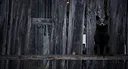 Beyond Faded Voices Screenshot 13