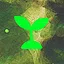 New Roots icon