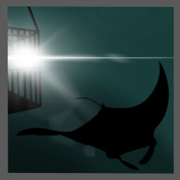 Mr. Manta Ray Is Camera-Shy. icon