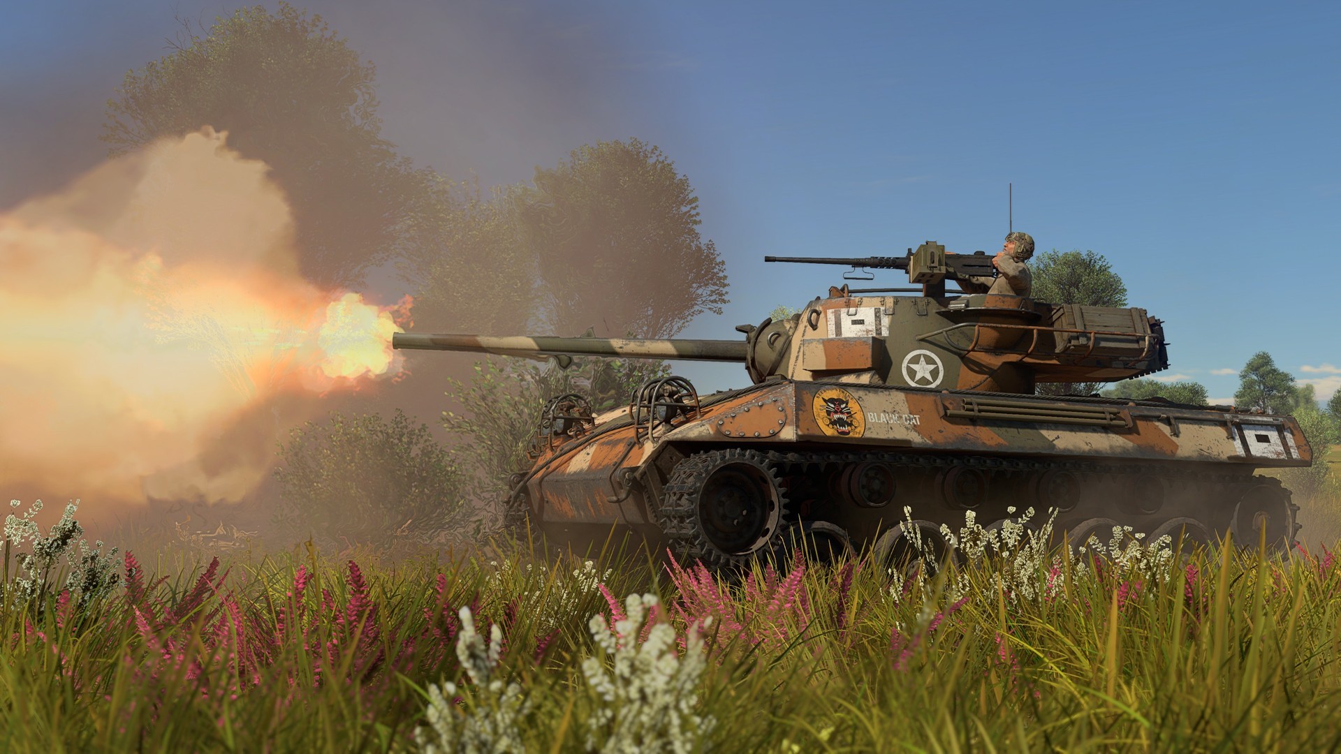 War Thunder - Black Friday Pack Screenshot 4