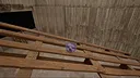StuckOn: Hamsterball Screenshot 8