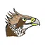 Destroyed by Hawks icon