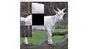 hgmGame-sheep Screenshot 2