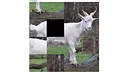 hgmGame-sheep Screenshot 3