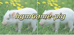 hgmGame-pig