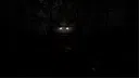 Bound by Bones Screenshot 0
