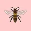 This Level Had A TON Of Bugs (Joanna III) icon