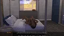 Temptation at Sunset Cove Screenshot 1