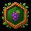 Grape! icon