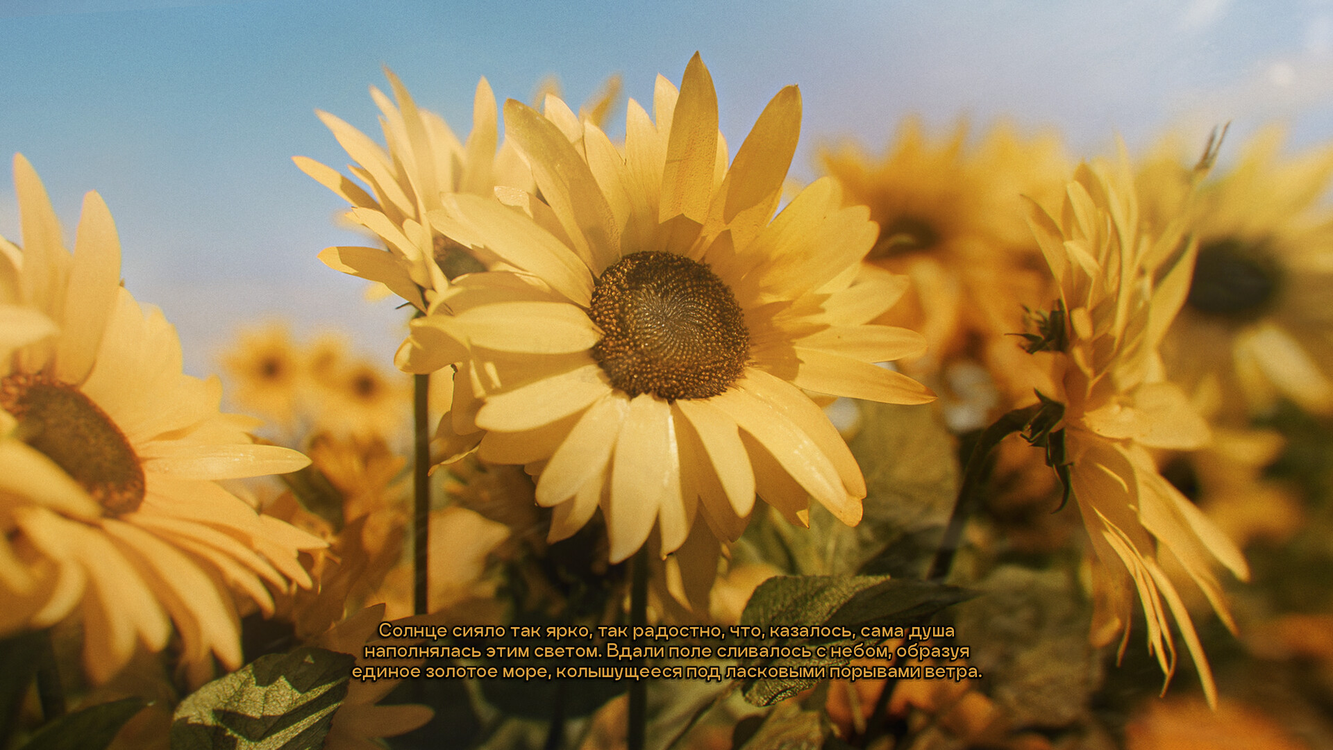 Mistbound Screenshot 6