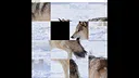 hgmGame-wolf Screenshot 0